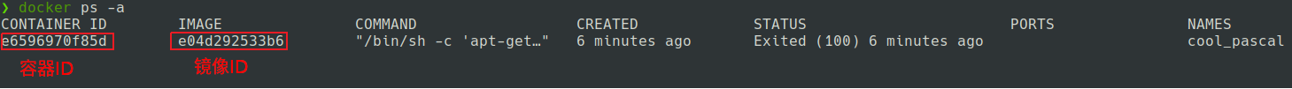 ../_images/docker-9.png